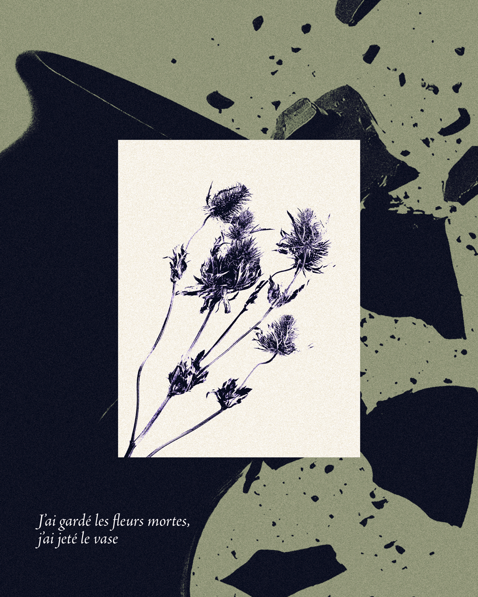 poster Asinine Comme des pierres